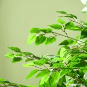 HOMCOM Plantă Artificială de Ficus cu 1260 Frunze, Plantă Artificială cu Ghiveci Inclus, Ø17,5x14,5 cm, Verde 