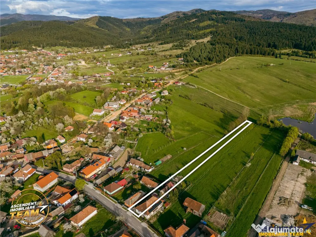 Doua case,un singur camin:spatiu generos si liniste, la marg