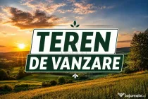 Terenuri - Dumbravita - Toate utilitatile la 15 m distanta