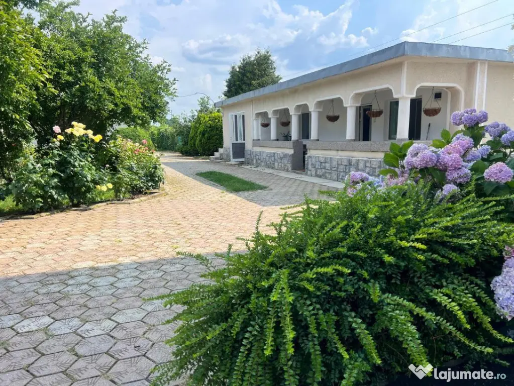 Casa visurilor cu 4000 mp livada roditoare si gradina Dar...