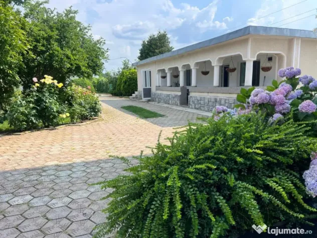 Casa visurilor cu 4000 mp livada roditoare si gradina Dar...