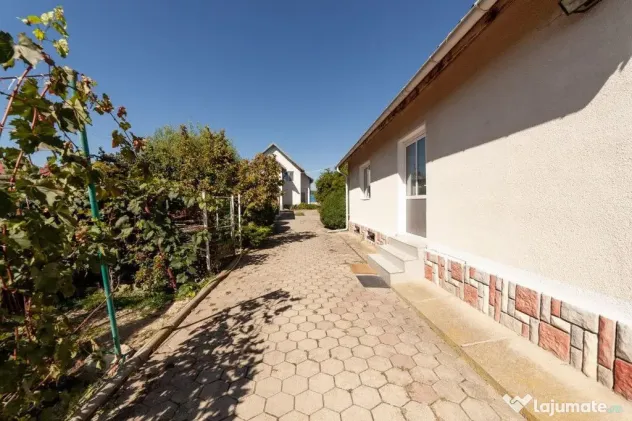 Casa visurilor cu 4000 mp livada roditoare si gradina Dar...