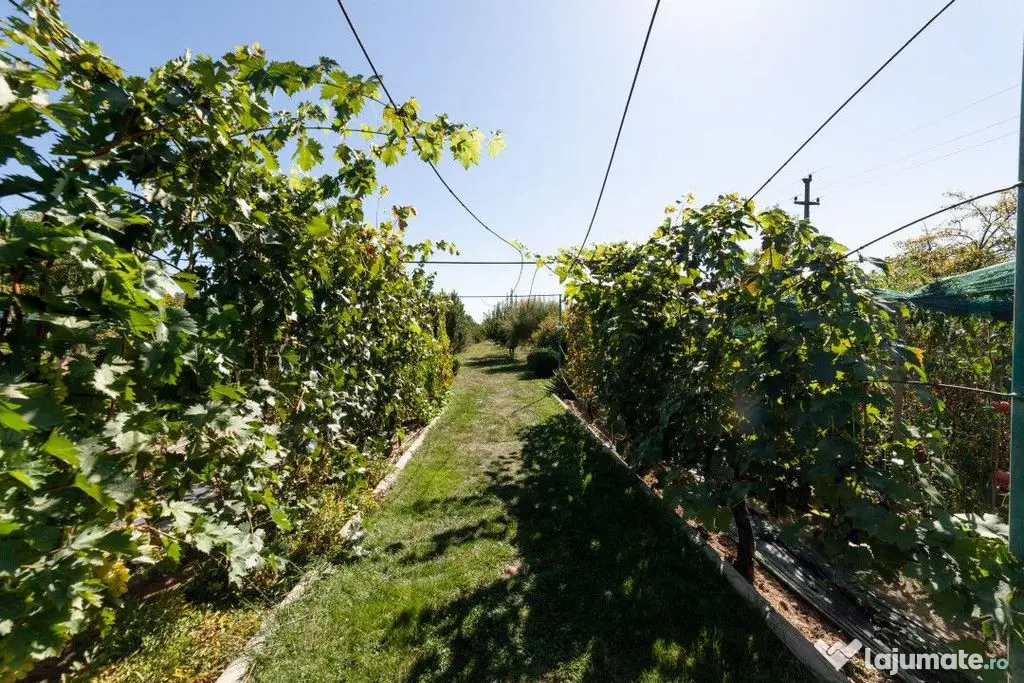 Casa visurilor cu 4000 mp livada roditoare si gradina Dar...