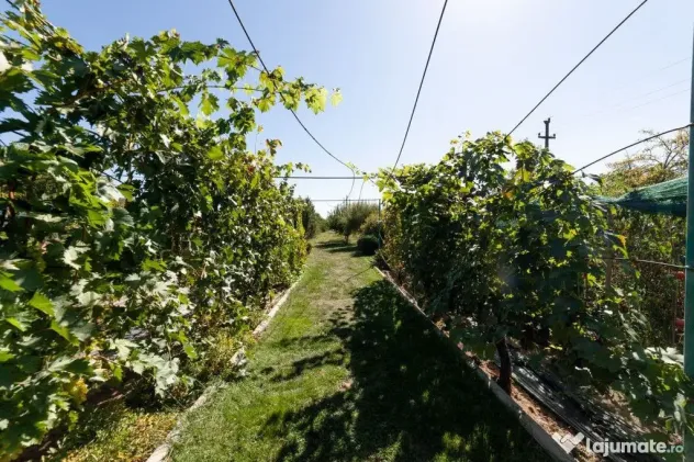 Casa visurilor cu 4000 mp livada roditoare si gradina Dar...