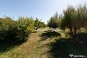 Casa visurilor cu 4000 mp livada roditoare si gradina Darmanesti-Arges 