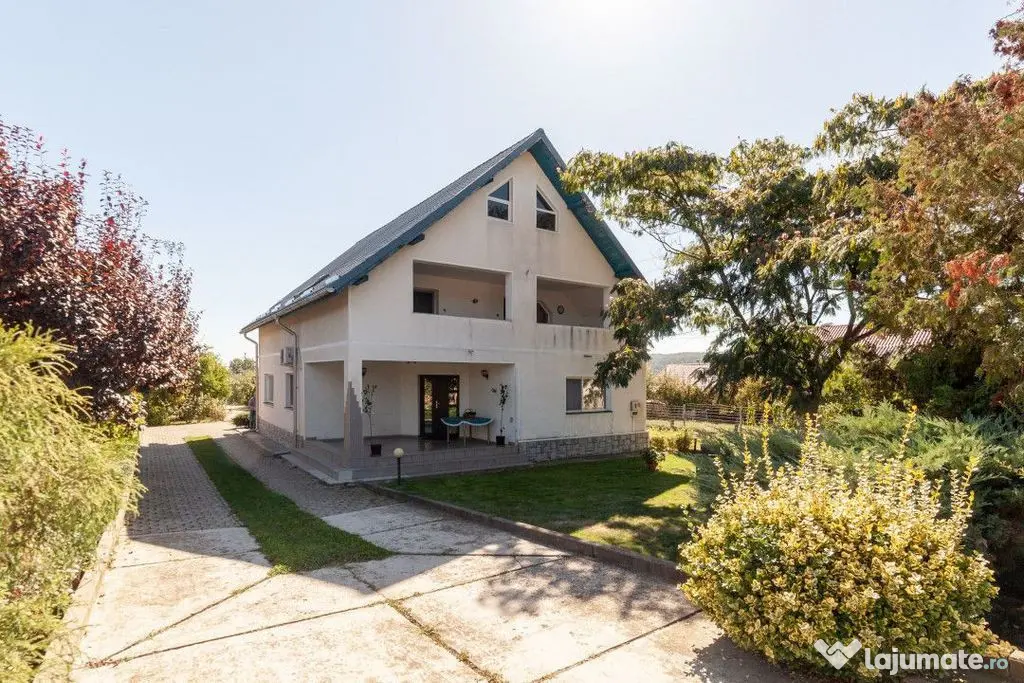 Casa visurilor cu 4000 mp livada roditoare si gradina Dar...
