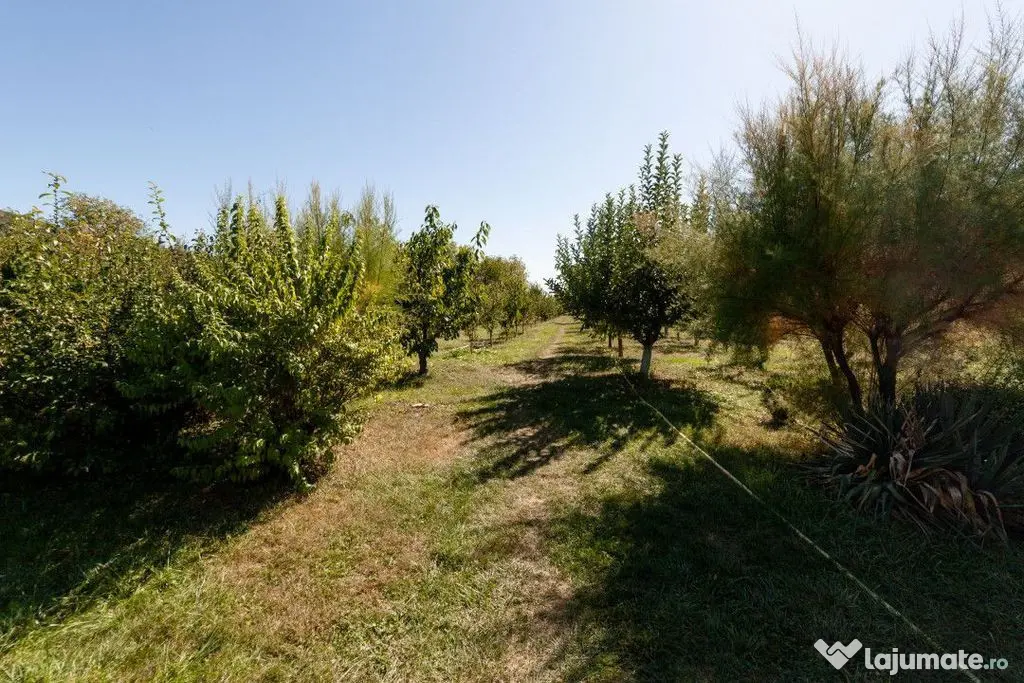 Casa visurilor cu 4000 mp livada roditoare si gradina Dar...