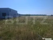 Loturi premium de teren în Dragomirești – 1.000 mp Desch 