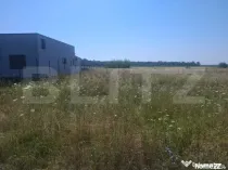 Loturi premium de teren în Dragomirești – 1.000 mp Desch