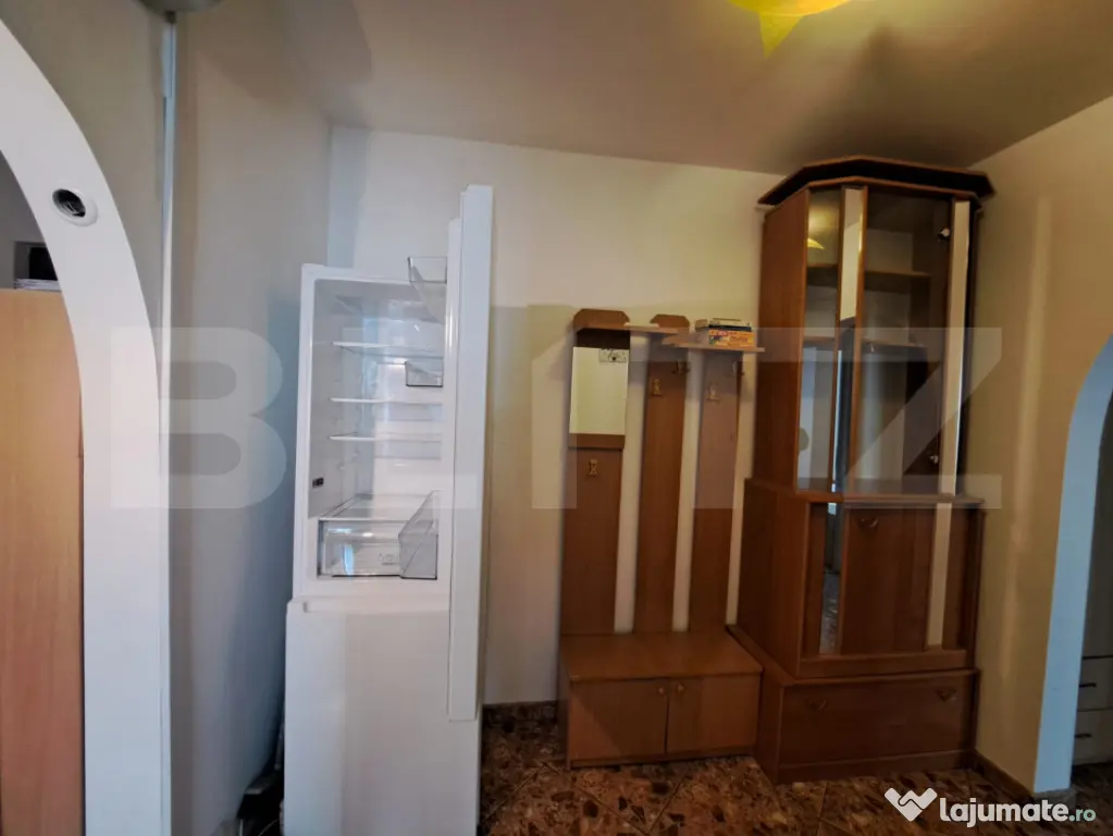 Apartament 2 Camere Mircea cel Batran