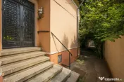 FERDINAND - PICTOR ION ANDREESCU, VILA INTERBELICA 211 MP TO 