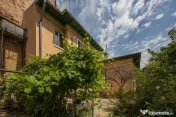 FERDINAND - PICTOR ION ANDREESCU, VILA INTERBELICA 211 MP TO 