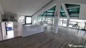 Hala Productie + spatiu birouri si curte cu acces TIR - Danc 