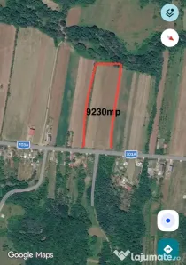 Proprietar - Vand teren intravilan 9230 mp in comuna Cocu, Arges