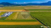 COMISION 0% | Teren intravilan 7.500 mp | Tarlungeni, Brasov 