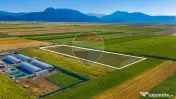 COMISION 0% | Teren intravilan 7.500 mp | Tarlungeni, Brasov 