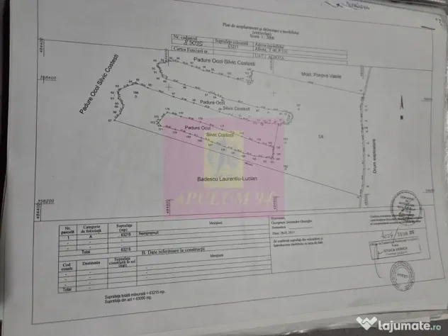 Terenuri cu potențial logistic și industrial, Albota, A... - Albota (Arges)