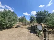 Casa cu 3 camere de vanzare,zona Ardud 