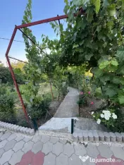 ???? Casă cu teren de 1.125 mp, foișor & piscina – Podar 