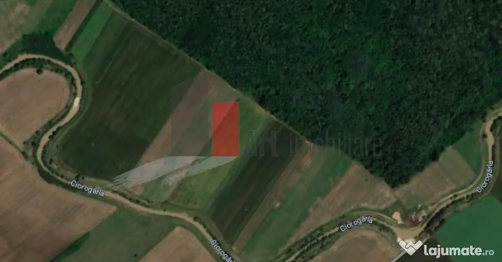 Teren Intravilan Padure Joita