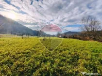 Teren intravilan-2.600 mp în Bârsana | 100 ml deschider...