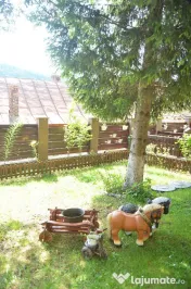 Busteni-Vila de vacanta ,panorama spectaculoasa 