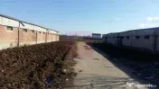 Teren Balotesti- Saftica- ideal pentru constructie locuinte. 