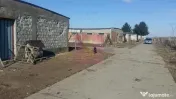 Teren Balotesti- Saftica- ideal pentru constructie locuinte. 