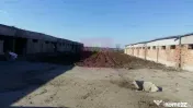 Teren Balotesti- Saftica- ideal pentru constructie locuinte. 