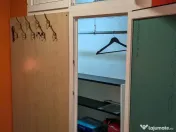 Muncii mieilor spatioasa