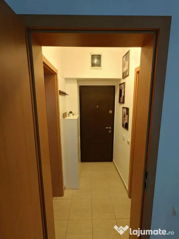 Piata sudului lunca barzesti studio
