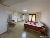 Studio open-space, 47 mp total, etaj 1, Brazda lui Novac - V 