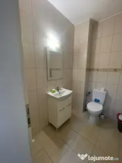 Studio open-space, 47 mp total, etaj 1, Brazda lui Novac - V 