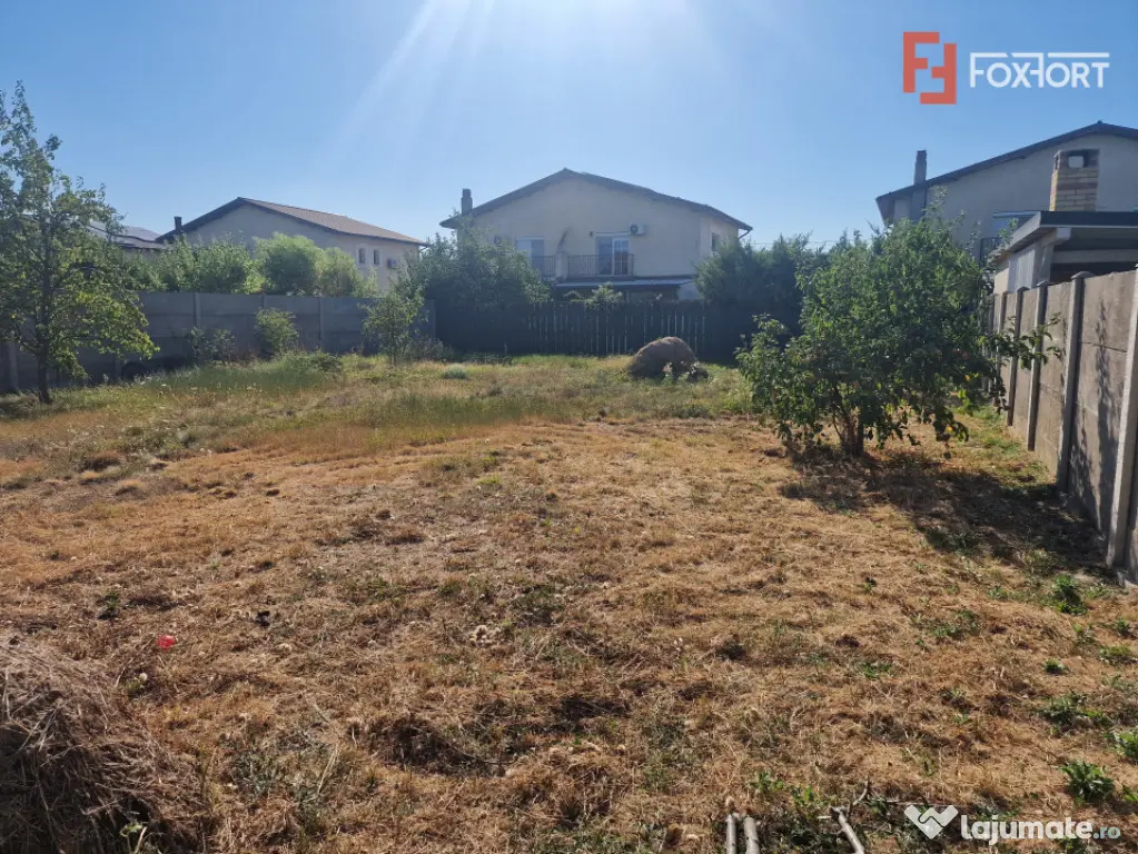 Casa individuala cocheta la vanzare in Mosnita Veche