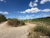 Teren 14.000 mp în Budeasa cu vedere superbă către baraj 