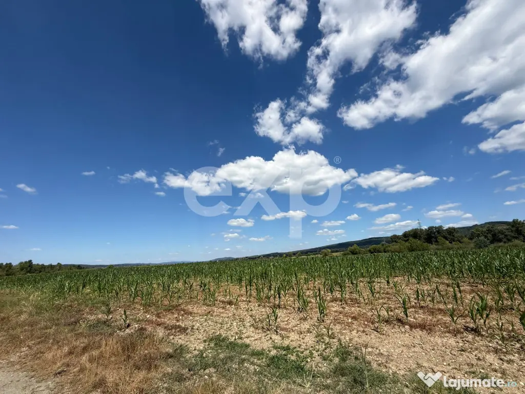 Teren 14.000 mp în Budeasa cu vedere superbă către baraj