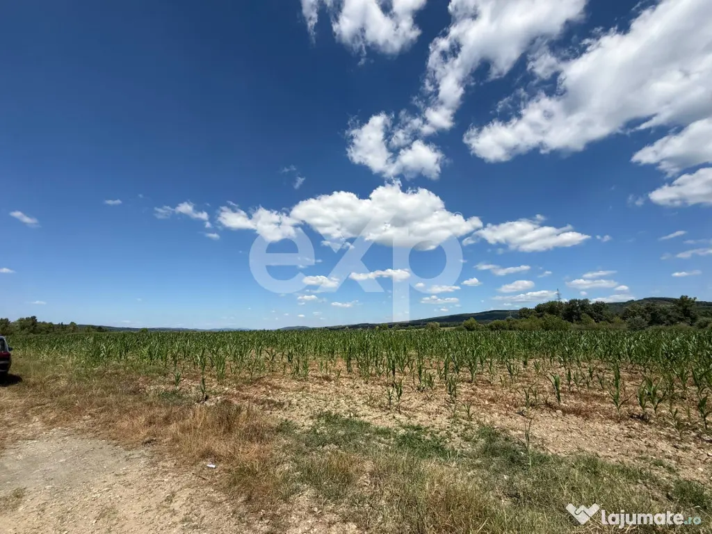 Teren 14.000 mp în Budeasa cu vedere superbă către baraj