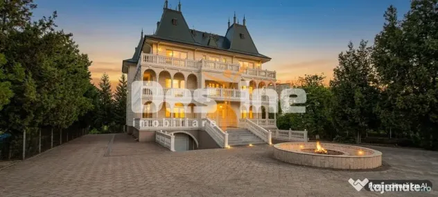 Vilă cu potențial comercial și rezidențial - Iasi (Iasi)