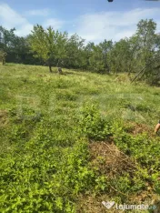 ???? Casă cu teren generos de 1.200 mp – zonă nord-vesti 