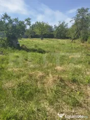???? Casă cu teren generos de 1.200 mp – zonă nord-vesti 