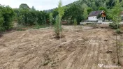 Teren intravilan superb 5000mp in Tocile 