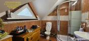 Proprietate deosebita in Almas- Casa P+M,echipata complet, teren 951 m