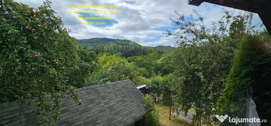 Proprietate deosebita in Almas- Casa P+M,echipata complet, teren 951 m