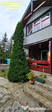 Proprietate deosebita in Almas- Casa P+M,echipata complet, teren 951 m