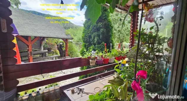 Proprietate deosebita in Almas- Casa P+M,echipata complet, teren 951 m