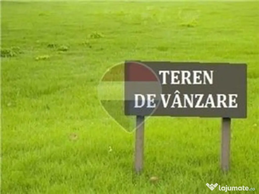 Teren intravilan de vanzare / loc de casa in Zerind 771 mp