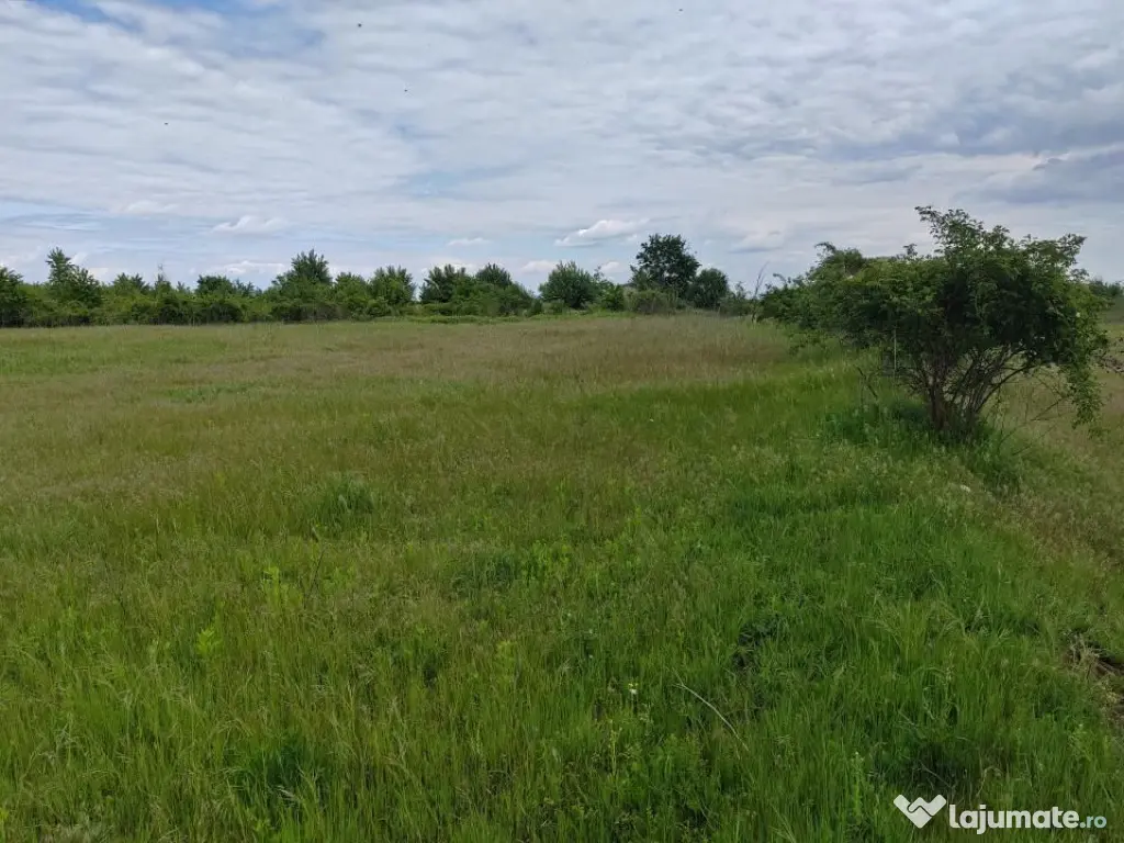 Teren extravilan, 114000 mp, Parc industrial West Park