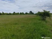 Teren extravilan, 114000 mp, Parc industrial West Park 