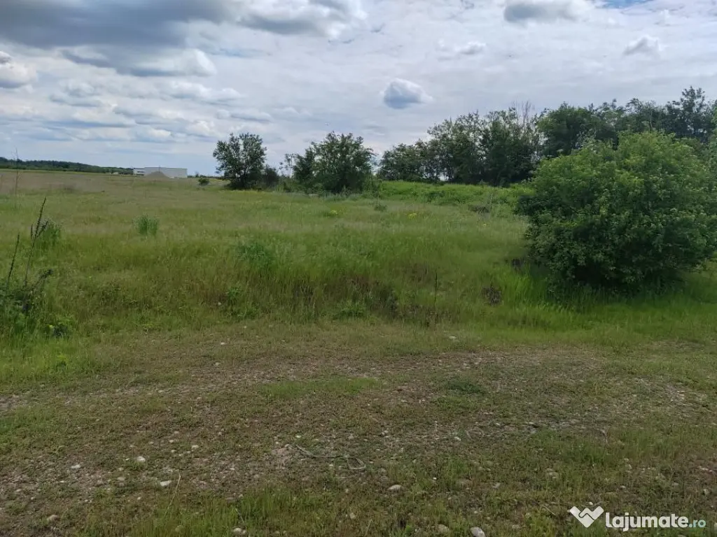 Teren extravilan, 114000 mp, Parc industrial West Park