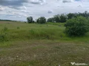 Teren extravilan, 114000 mp, Parc industrial West Park 